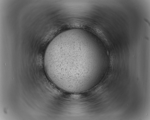 X0000102230457200808081351