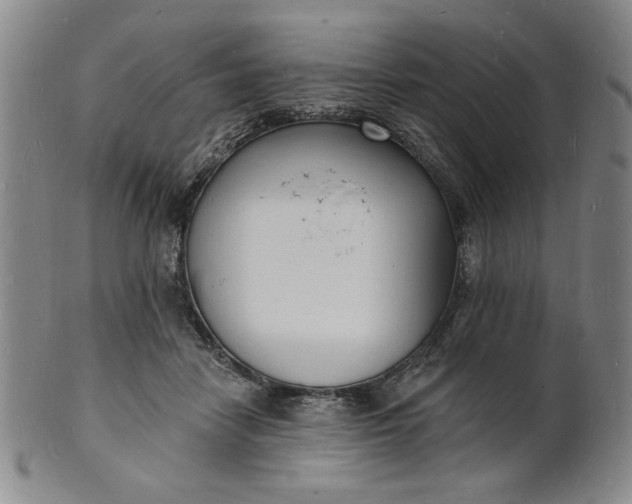 X0000102230458200808081351