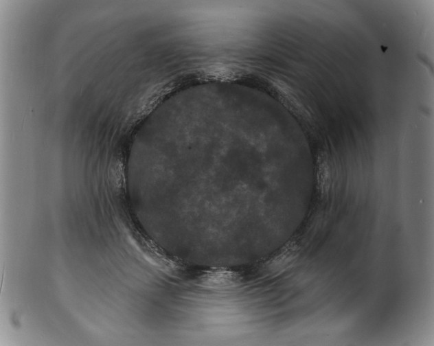 X0000102230459200808081351