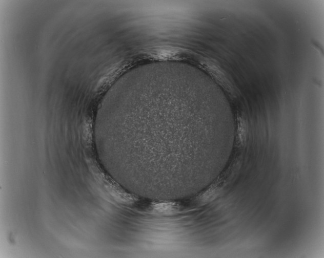 X0000102230461200808081351