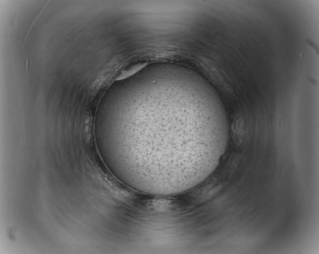 X0000102230462200808081351