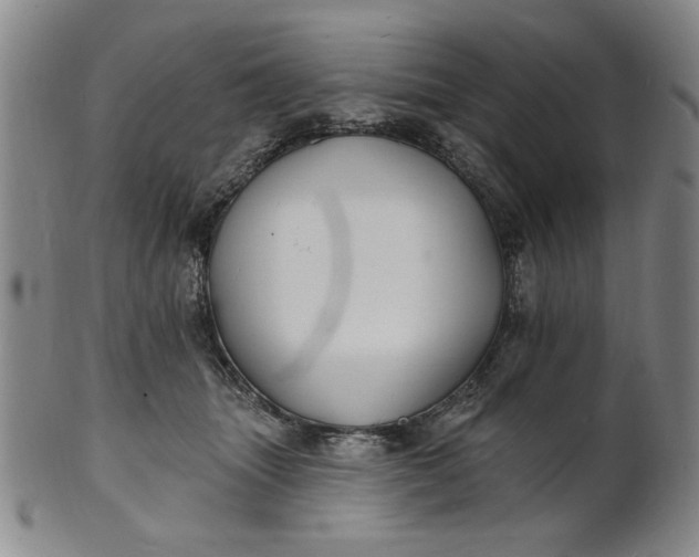 X0000102230463200808081351