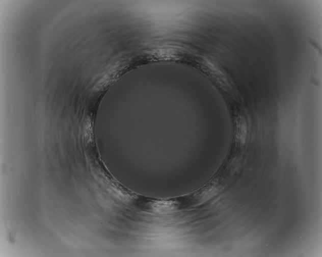 X0000102230465200808081351