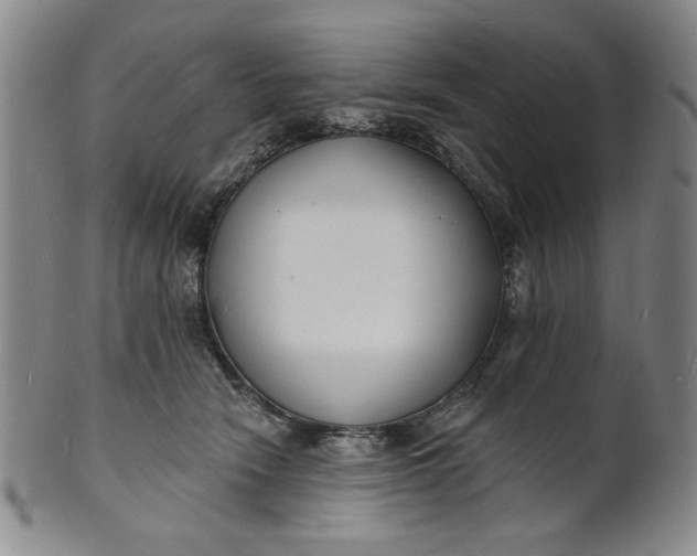 X0000102230466200808081351