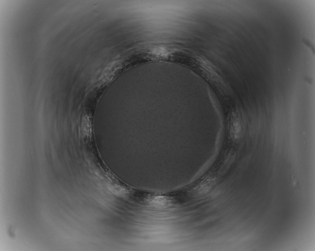 X0000102230467200808081351