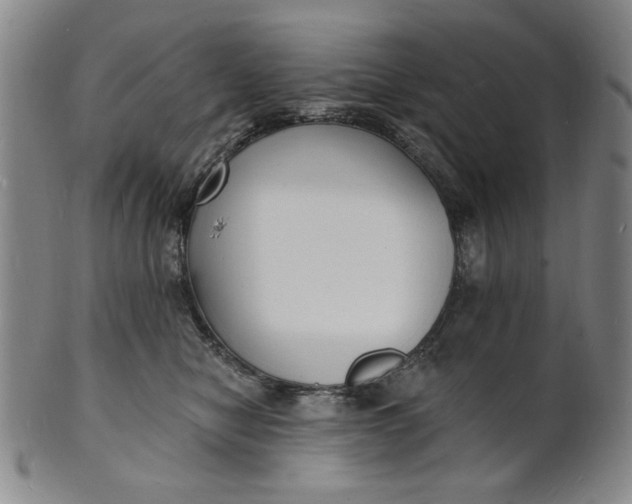 X0000102230470200808081351