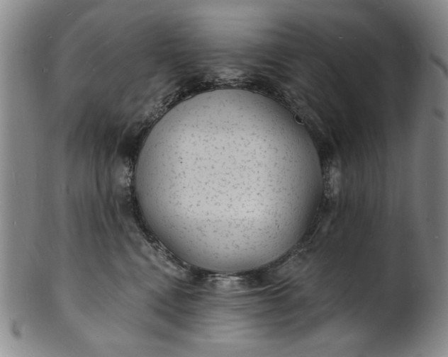 X0000102230472200808081351