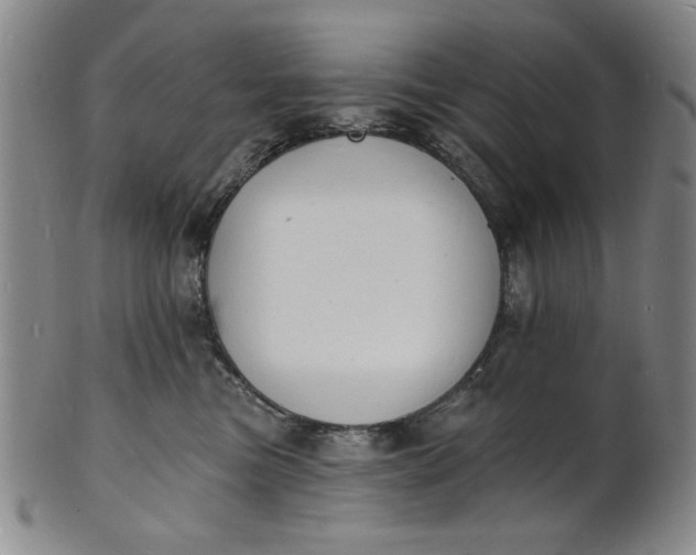 X0000102230473200808081351