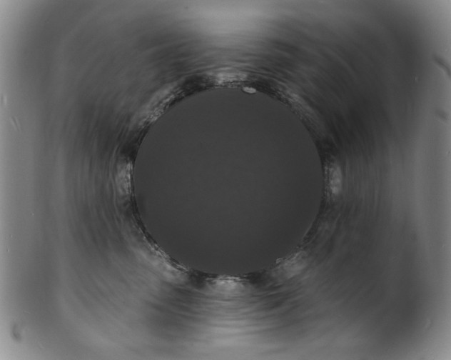 X0000102230475200808081351