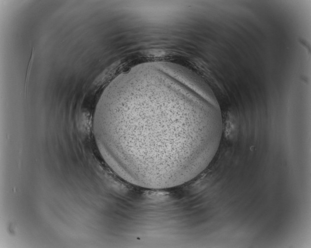 X0000102230476200808081351