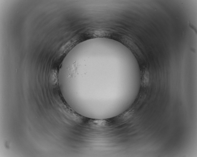 X0000102230478200808081352