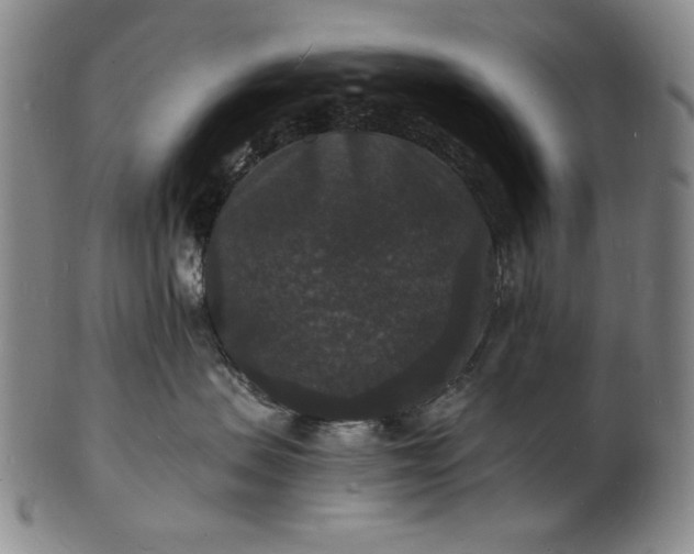 X0000102230479200808081352