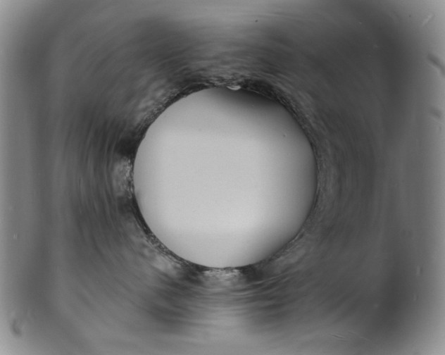X0000102230480200808081352