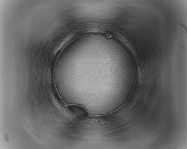 X0000102230482200808081351