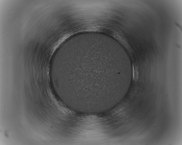 X0000102230483200808081351
