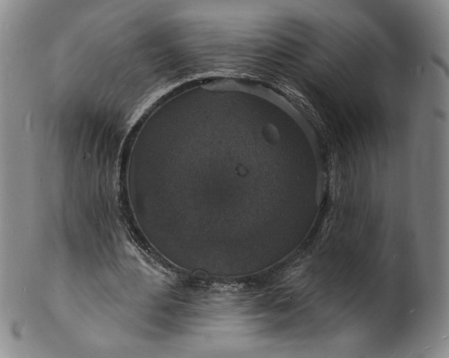X0000102230484200808081351