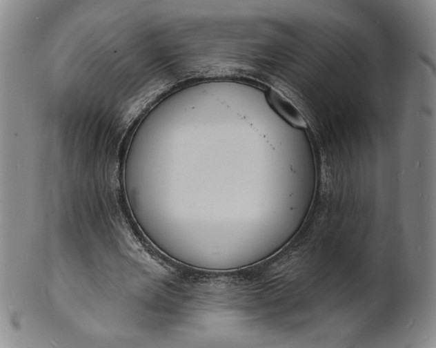 X0000102230485200808081351