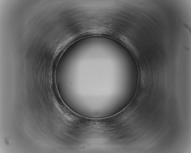 X0000102230486200808081351