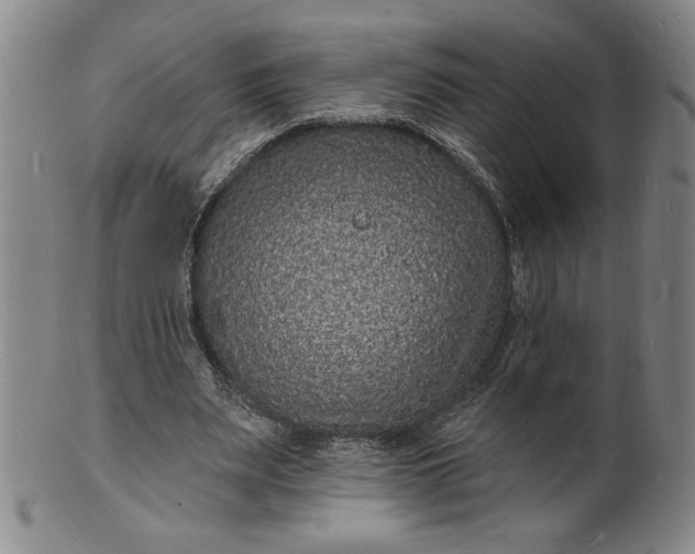 X0000102230487200808081351