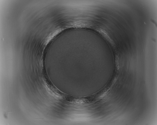 X0000102230488200808081351