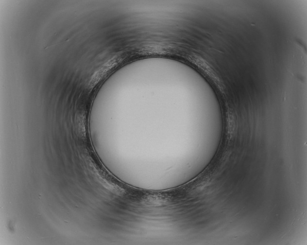 X0000102230489200808081351