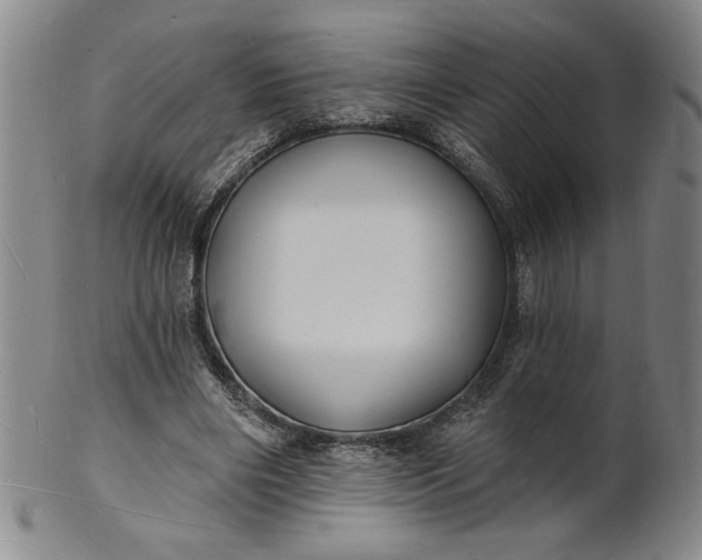 X0000102230490200808081351