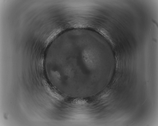 X0000102230491200808081351