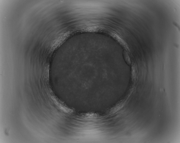 X0000102230493200808081351