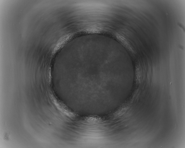 X0000102230494200808081351