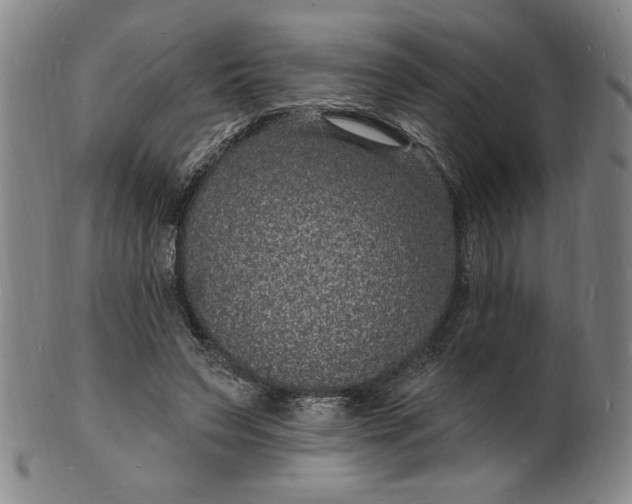 X0000102230495200808081351