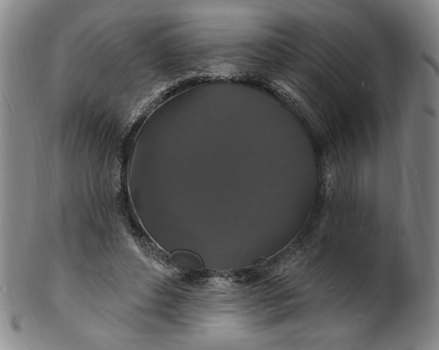 X0000102230496200808081351