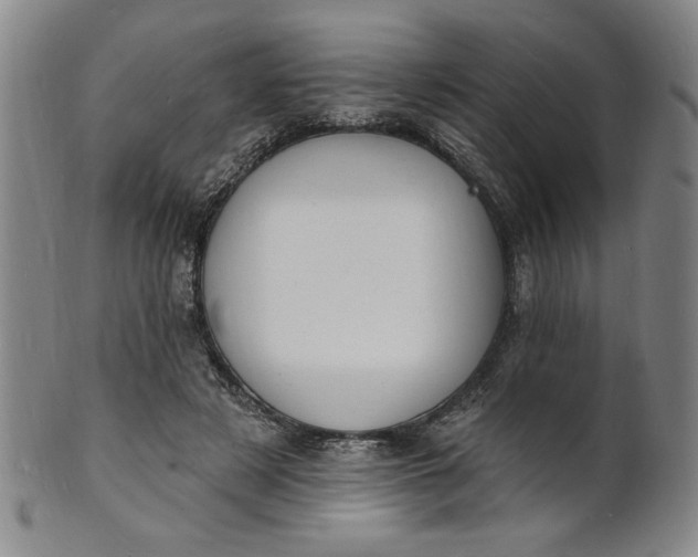 X0000102230497200808081351