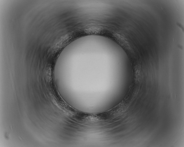 X0000102230498200808081351
