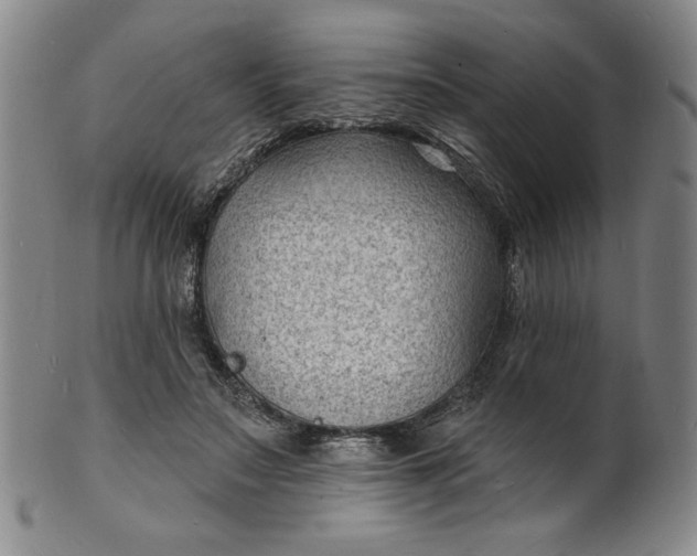 X0000102230499200808081351