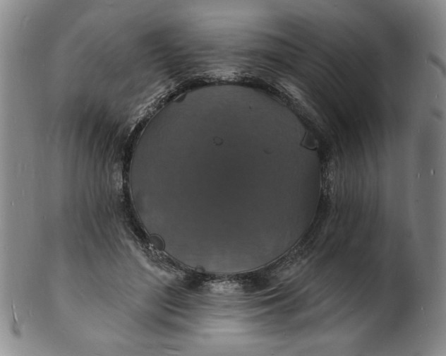X0000102230500200808081351