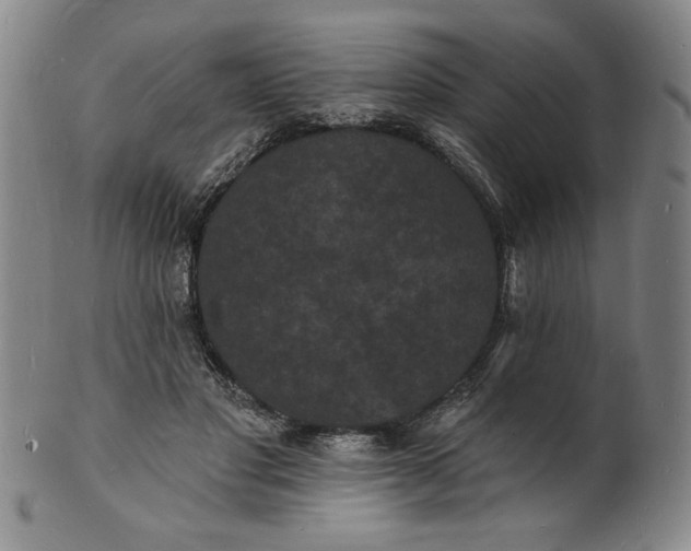 X0000102230501200808081351
