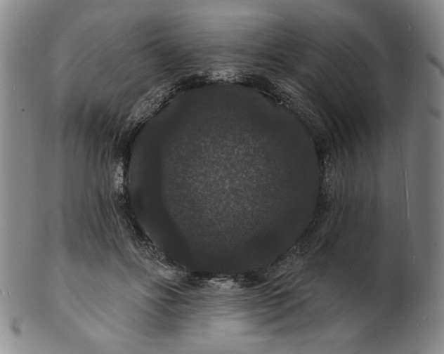 X0000102230502200808081351