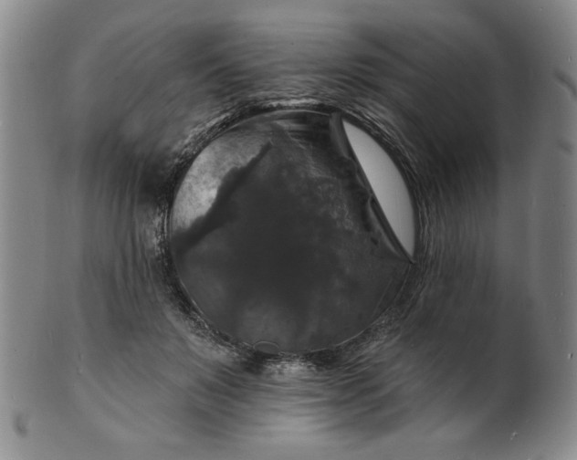 X0000102230503200808081351