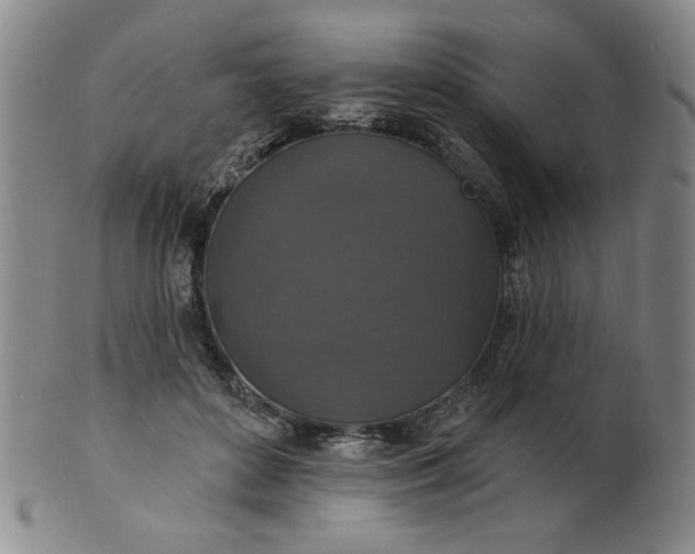 X0000102230504200808081351