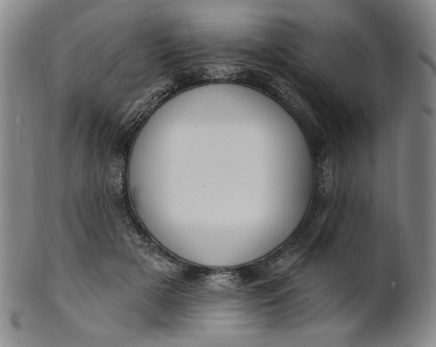 X0000102230505200808081351
