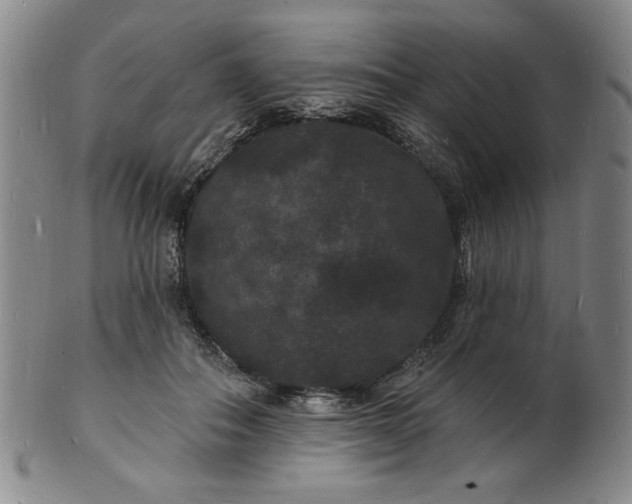 X0000102230506200808081351