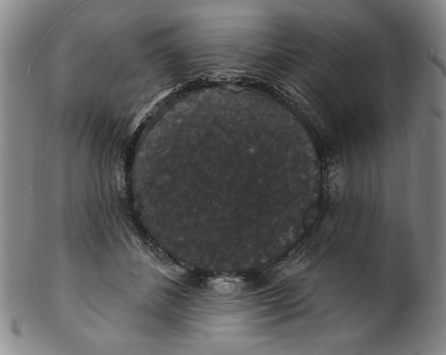 X0000102230508200808081350