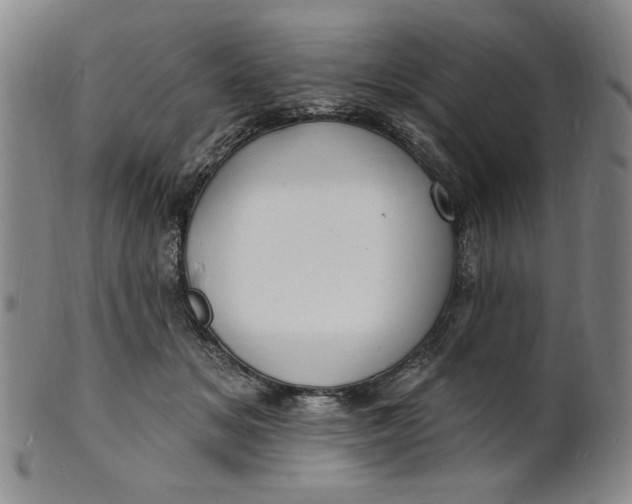 X0000102230509200808081350