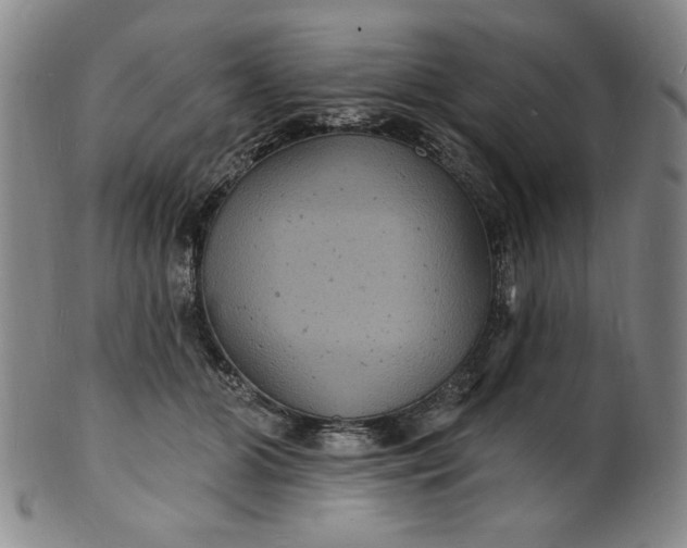 X0000102230510200808081350