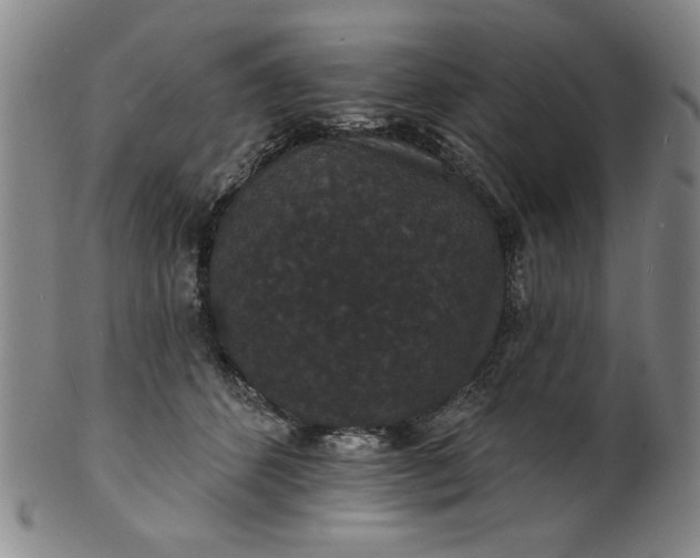 X0000102230512200808081350