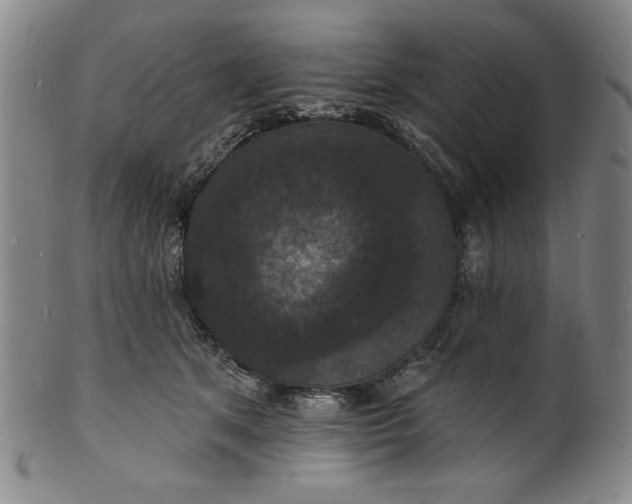 X0000102230513200808081350