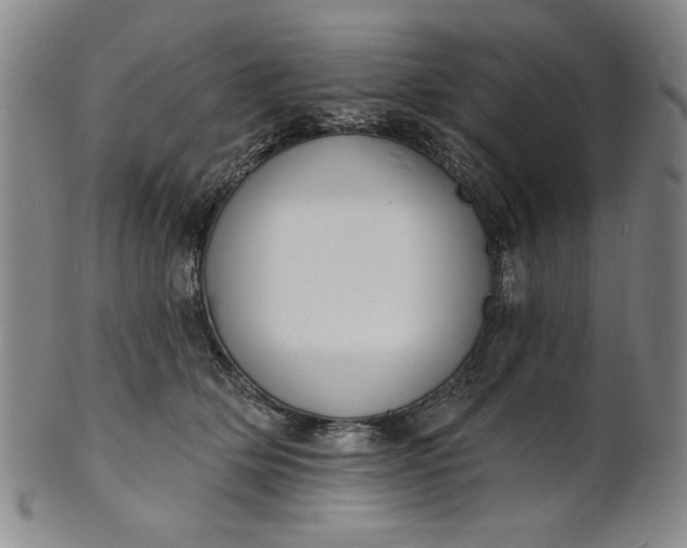 X0000102230514200808081350