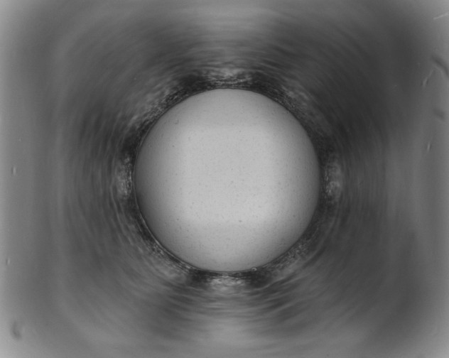 X0000102230515200808081350