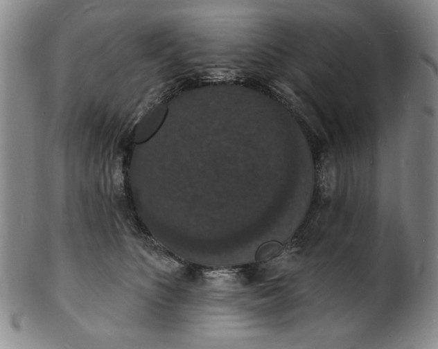 X0000102230516200808081350