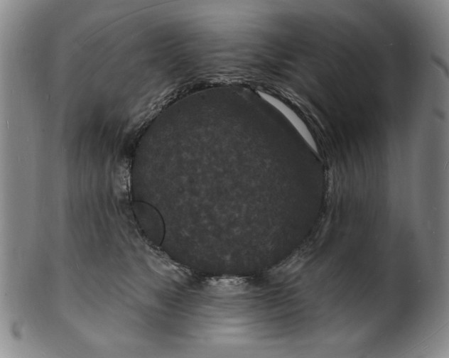 X0000102230517200808081350